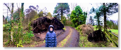 trees fallen behind a teenage boy